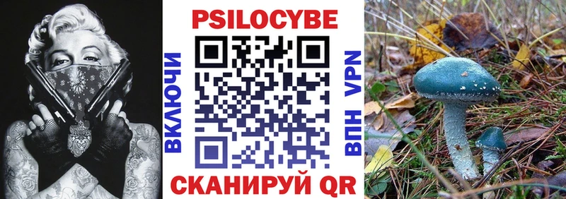где можно купить Узловая Псилоцибиновые грибы GOLDEN TEACHER