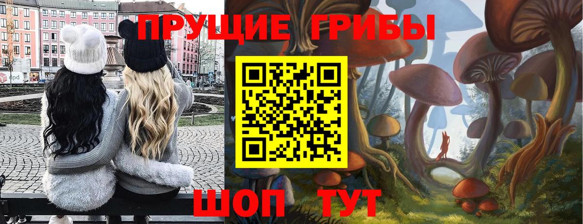 Галлюциногенные грибы мицелий Узловая